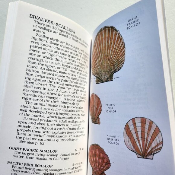 Peterson Field Guides Book Bundle Guide Books Reference Nature Trees Weather Hor - Picture 5 of 14